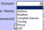 select your domain